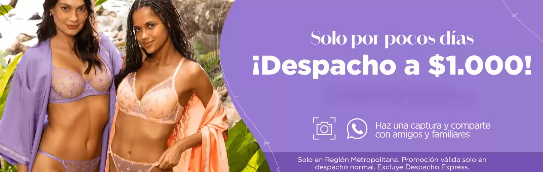 Catálogo Flores en Providencia | Oferta exclusivos! | 2025-09-16T00:00:00.000Z - 2025-10-01T00:00:00.000Z