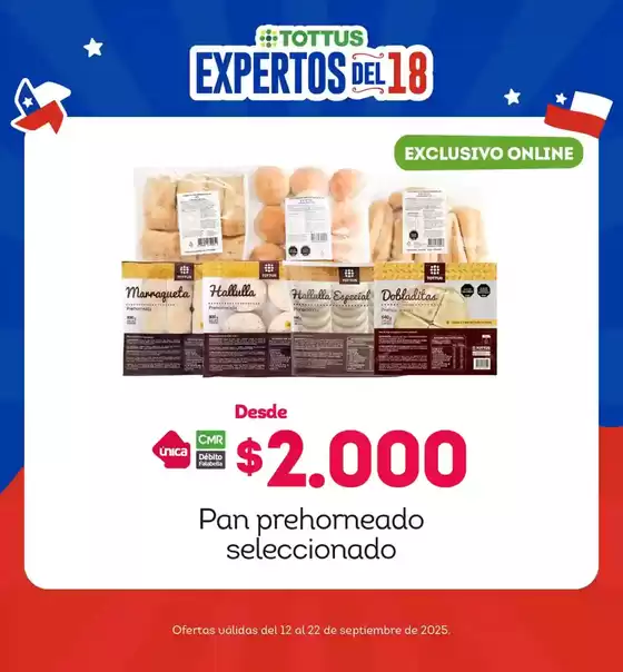 Nuestras mejores ofertas para ti