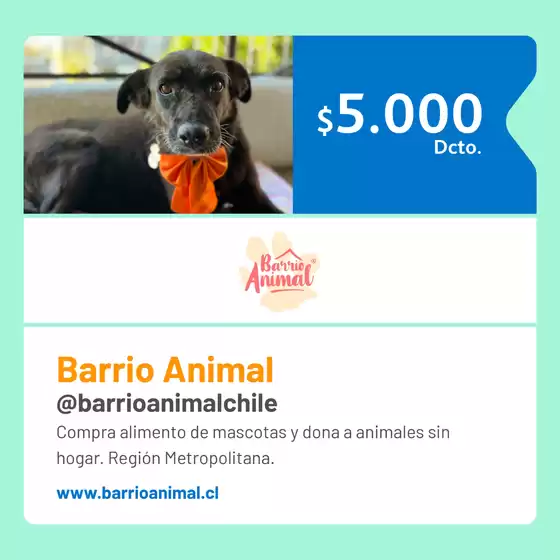 Oferta exclusivos!