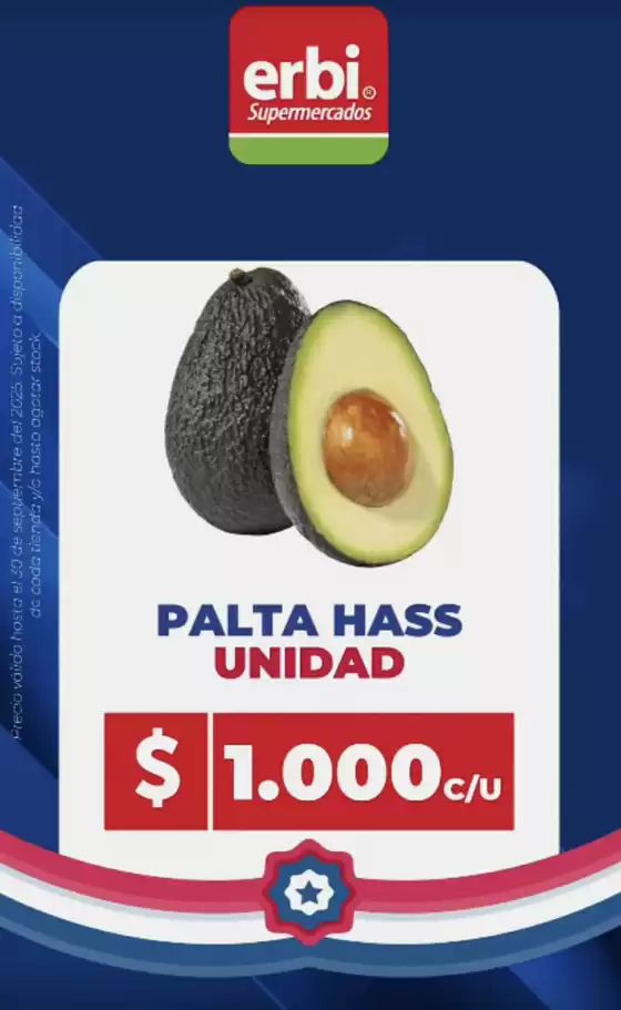 Catálogo Erbi | Oferta exclusivos! | 2025-09-18T00:00:00.000Z - 2025-09-30T00:00:00.000Z