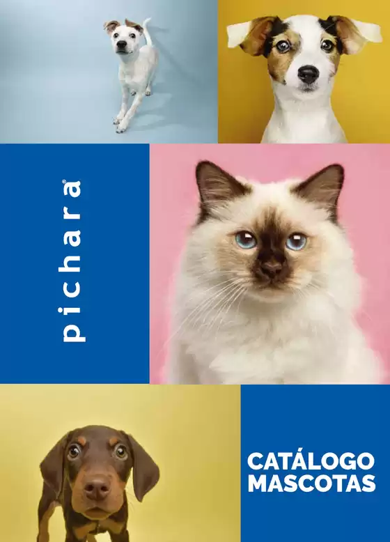 Gangas y ofertas actuales