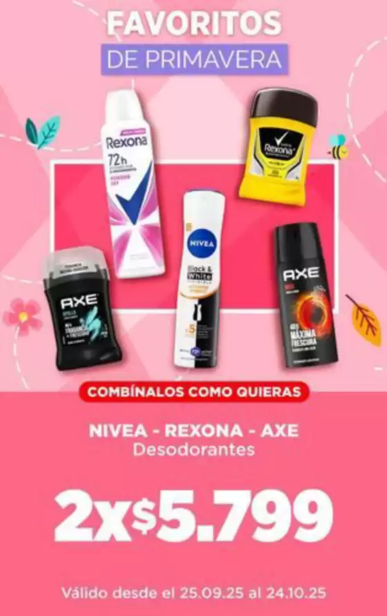 Nuestras mejores ofertas para ti