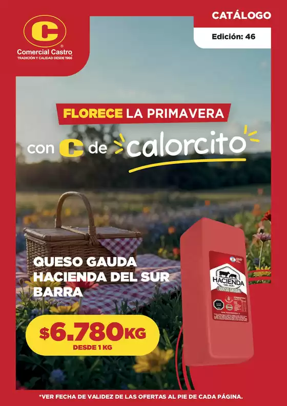 Catálogo Comercial Castro en Puente Alto | Florece la primavera | 2025-10-24T00:00:00.000Z - 2025-10-31T00:00:00.000Z