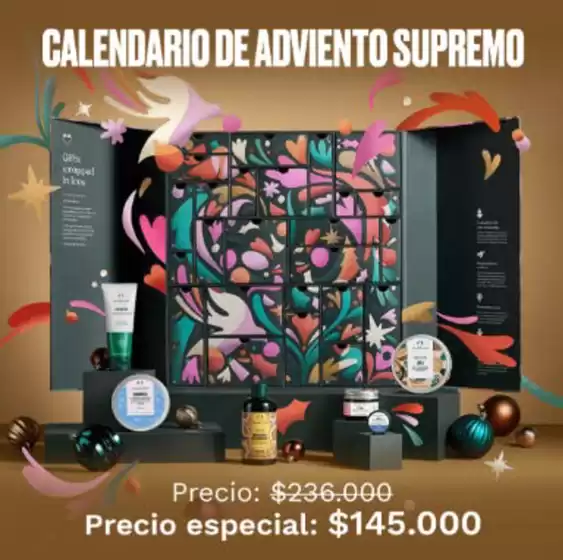 Oferta exclusivos!