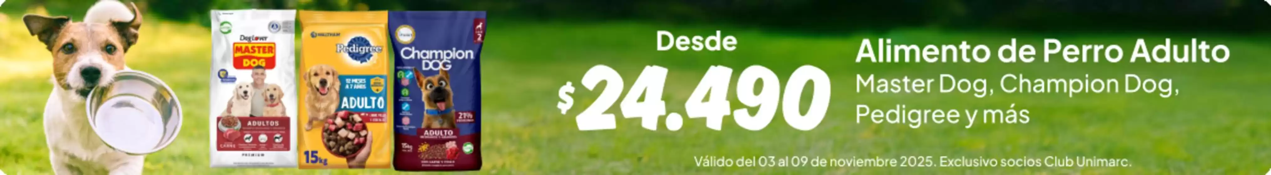 Nuestras mejores ofertas para ti