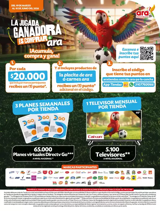 Catálogo Ara | ASEO S12 | 2026-03-19T00:00:00.000Z - 2026-06-10T00:00:00.000Z