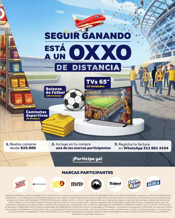 main_flyer image