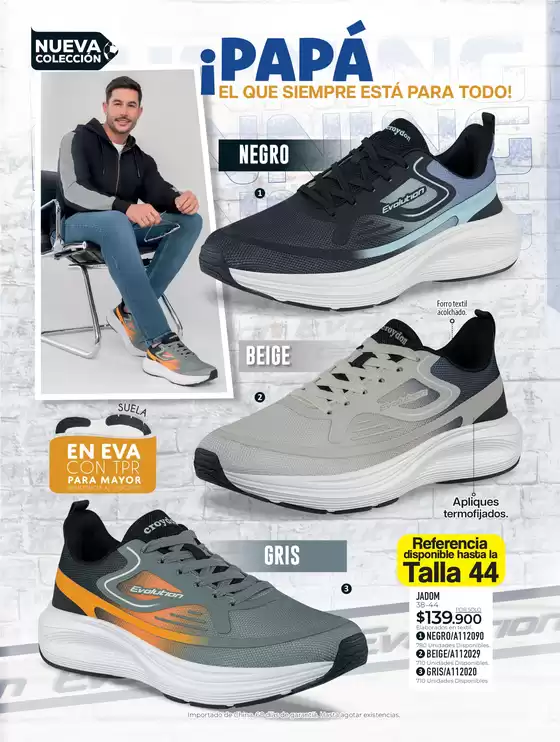 main_flyer image