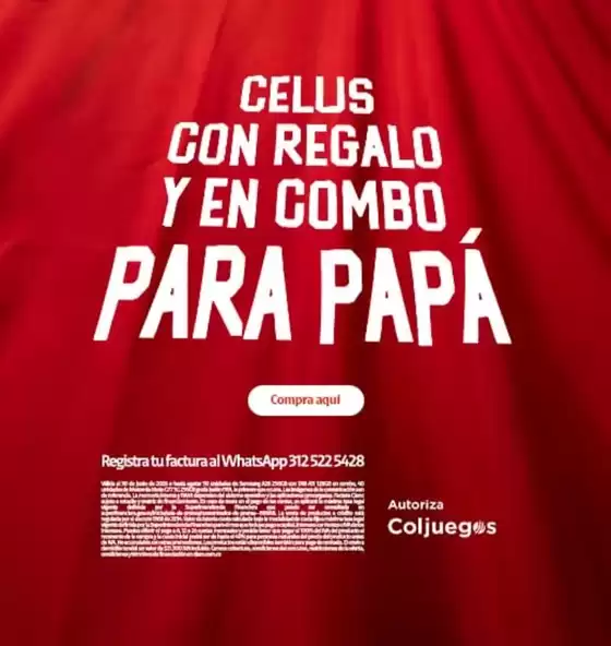 main_flyer image