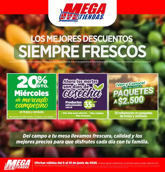 Catálogo MegaTiendas | Los mejores descuentos | 2026-06-08T00:00:00.000Z - 2026-06-12T00:00:00.000Z