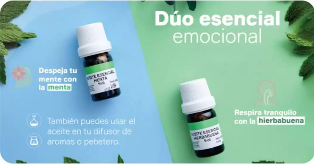 Duo Essencial