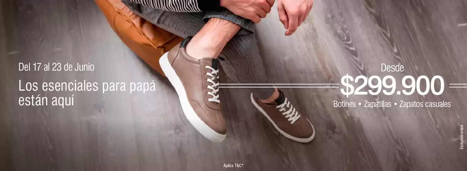 Catálogo Hush Puppies | Los esenciales para papá están aquí desde desde $299.900 | 2026-06-19T00:00:00.000Z - 2026-06-23T00:00:00.000Z