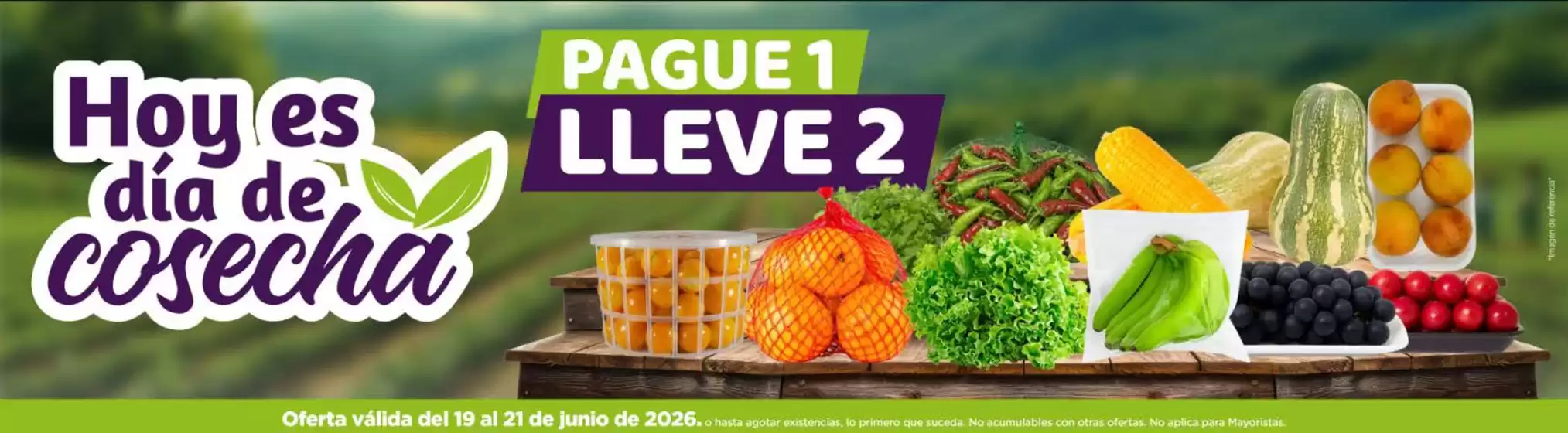 Catálogo MegaTiendas | Paga 1 Lleva 2 | 2026-06-19T00:00:00.000Z - 2026-06-21T00:00:00.000Z