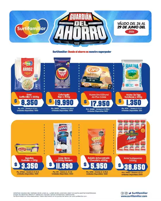 main_flyer image