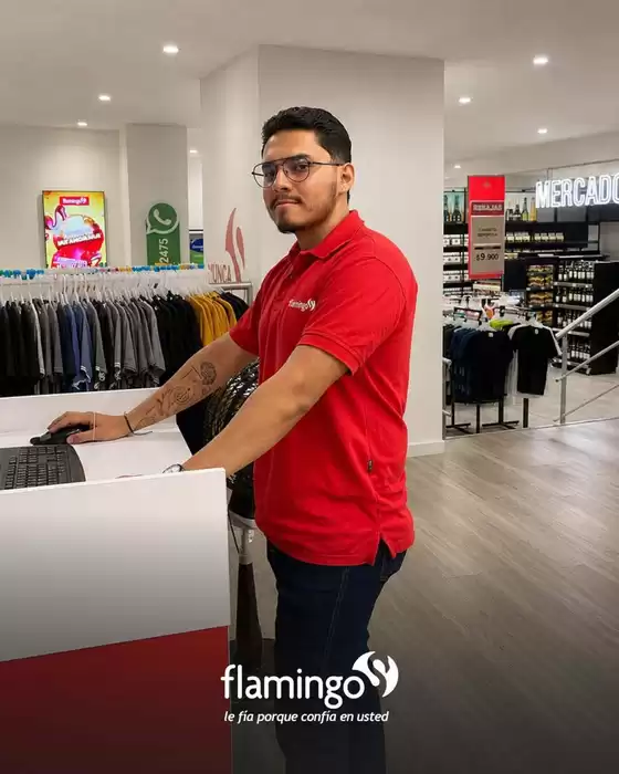 Catálogo Flamingo | Ofertas principales para todos los cazadores de gangas | 2026-07-01T00:00:00.000Z - 2026-07-15T00:00:00.000Z