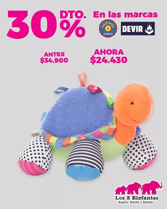 main_flyer image