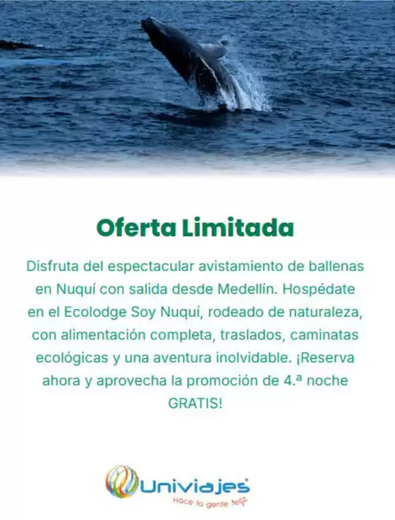 Catálogo Univiajes | Oferta Limitada | 2026-07-22T00:00:00.000Z - 2026-07-31T00:00:00.000Z
