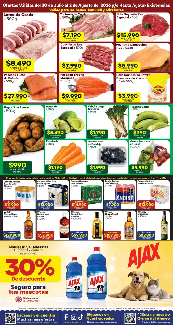 main_flyer image
