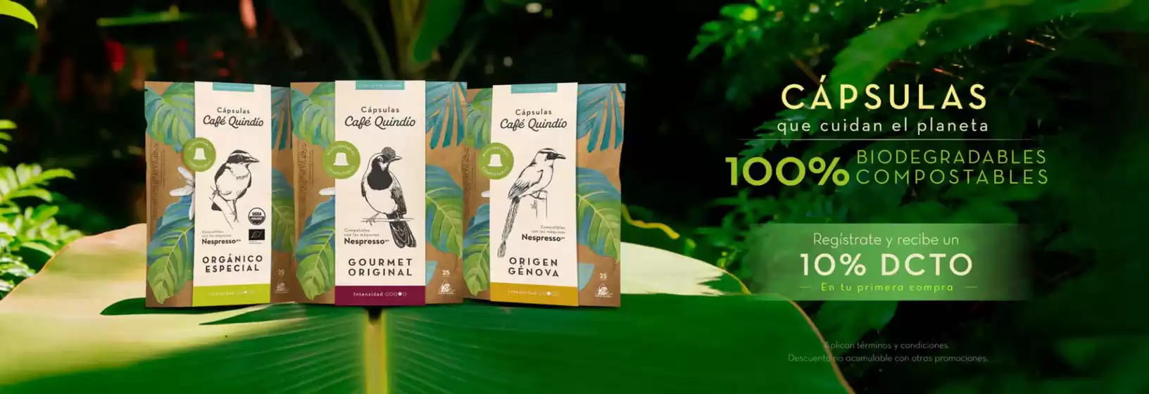 Catálogo Café Quindío | Ofertas | 2026-08-11T00:00:00.000Z - 2026-08-31T00:00:00.000Z