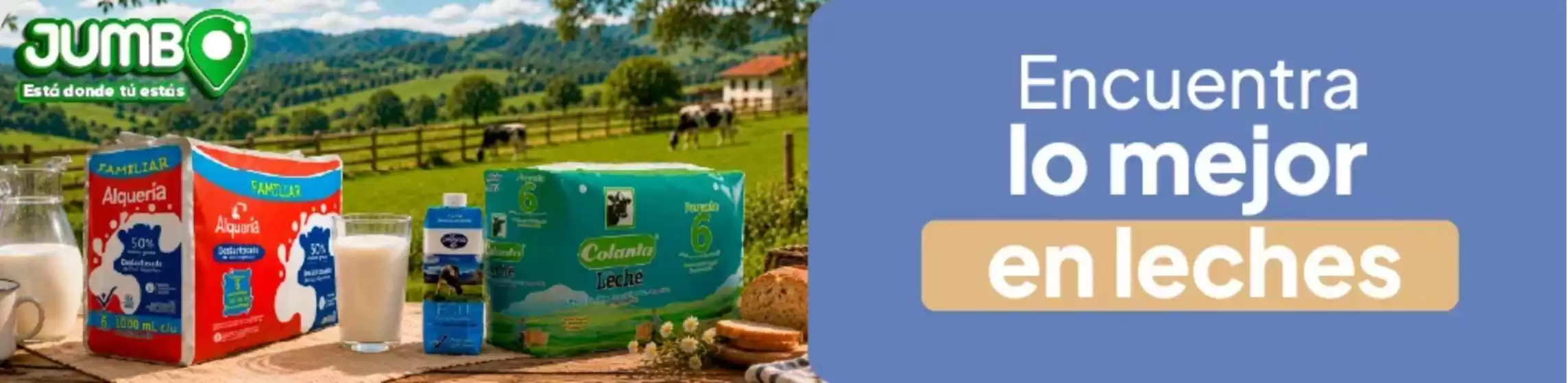 Catálogo Jumbo en Armenia Antioquia | Ofertas principales y descuentos | 2026-08-14T00:00:00.000Z - 2026-08-28T00:00:00.000Z