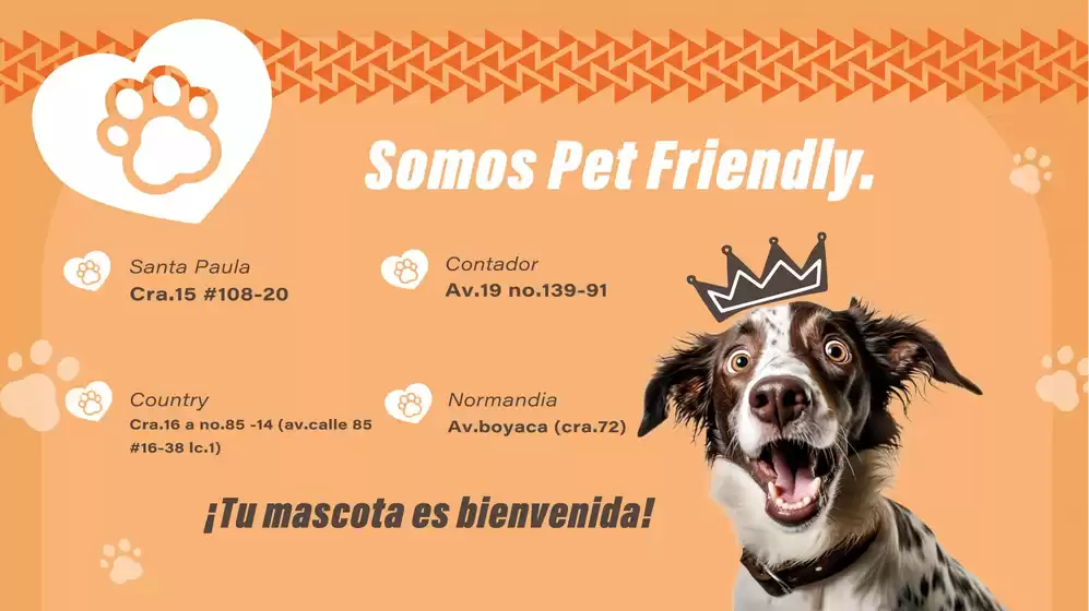 Catálogo Cali Mio | Nuestras mejores ofertas para ti | 2026-08-18T00:00:00.000Z - 2026-09-01T00:00:00.000Z