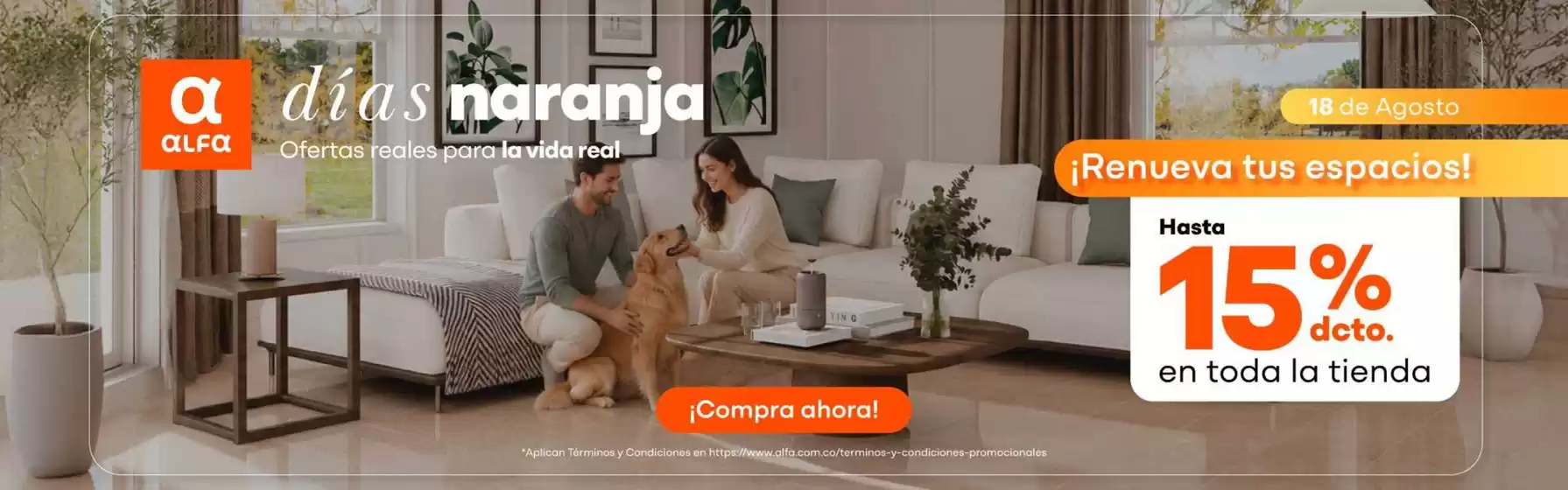 Catálogo Alfa | Nuevas ofertas para descubrir | 2026-08-18T00:00:00.000Z - 2026-08-18T00:00:00.000Z