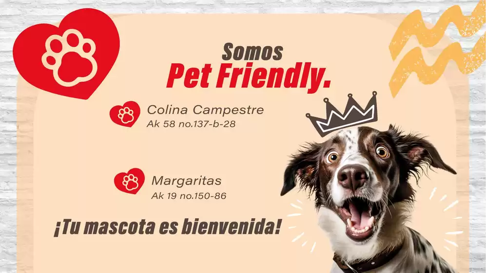 Catálogo Cali Vea | Ofertas y gangas exclusivas | 2026-08-18T00:00:00.000Z - 2026-09-01T00:00:00.000Z