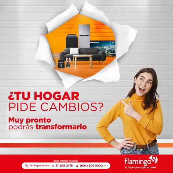 Catálogo Flamingo en San Jacinto del Cauca | Ofertas y promociones actuales | 2026-08-28T00:00:00.000Z - 2026-09-11T00:00:00.000Z