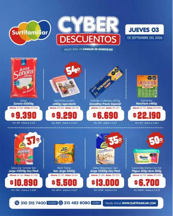 main_flyer image