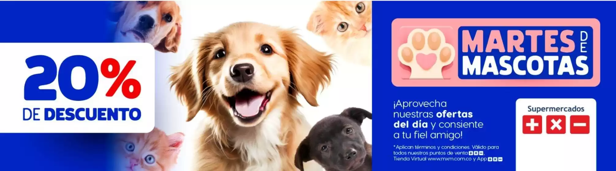 Catálogo Más x Menos | Ofertas principales y descuentos | 2026-09-01T00:00:00.000Z - 2026-09-15T00:00:00.000Z