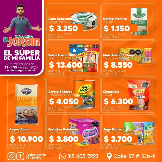 main_flyer image