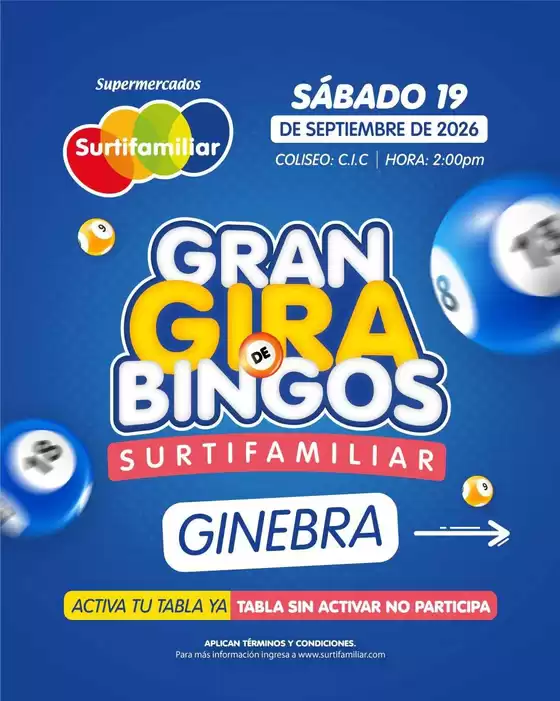 Catálogo Surtifamiliar | Gangas y ofertas actuales | 2026-09-19T00:00:00.000Z - 2026-09-19T00:00:00.000Z