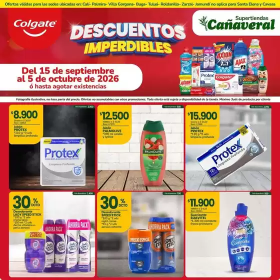main_flyer image