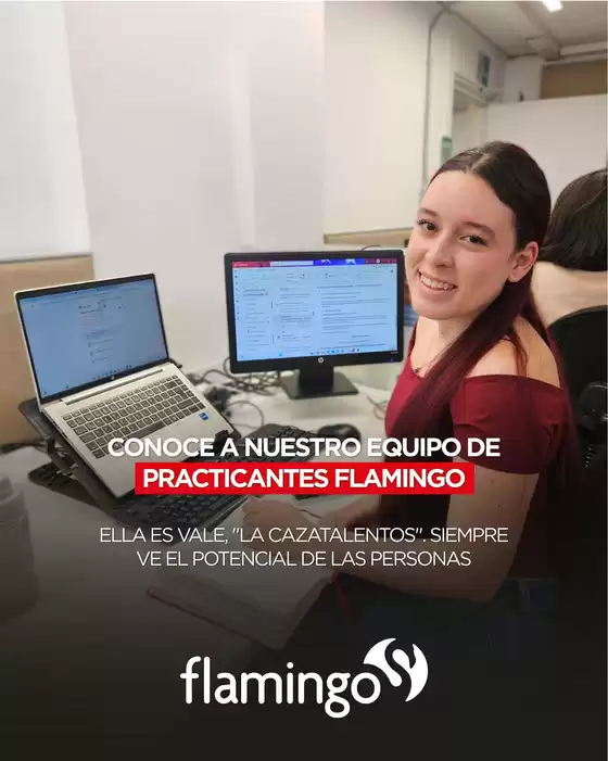 Catálogo Flamingo en La Tebaida | Ofertas Flamingo | 2026-09-18T00:00:00.000Z - 2026-10-02T00:00:00.000Z