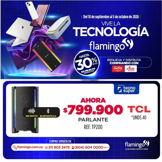 main_flyer image