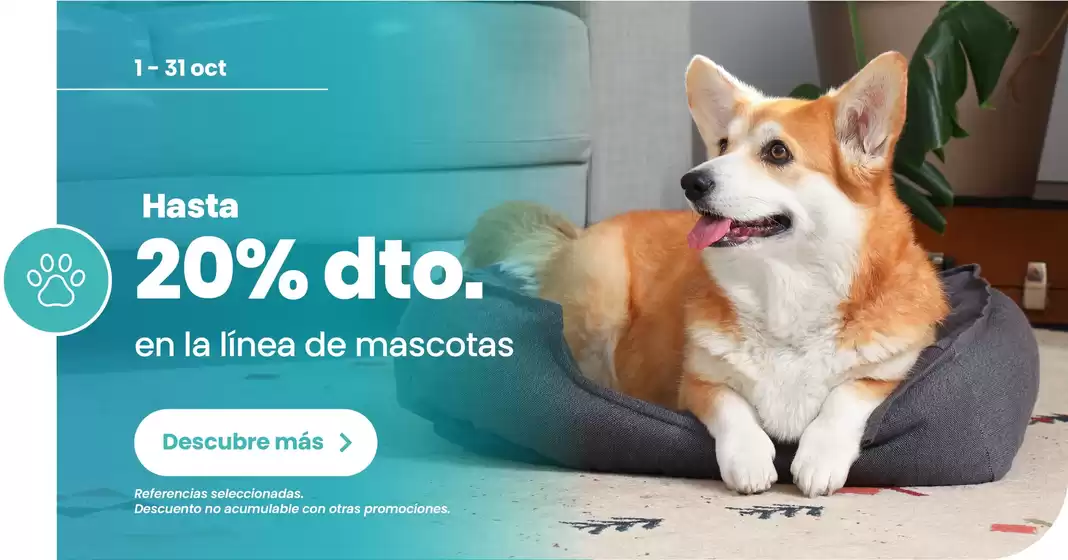 Catálogo Brissa | Ofertas principales para todos los clientes | 2026-10-01T00:00:00.000Z - 2026-10-31T00:00:00.000Z