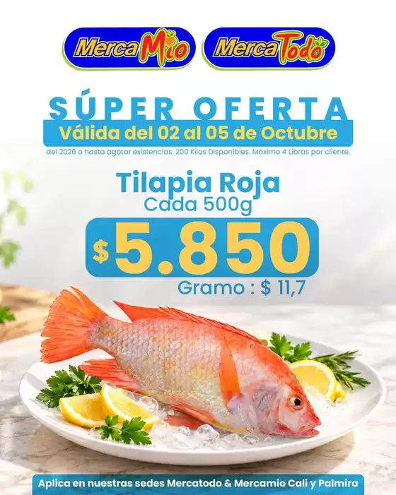 Catálogo MercaTodo | Ahorra ahora con nuestras ofertas | 2026-10-02T00:00:00.000Z - 2026-10-05T00:00:00.000Z