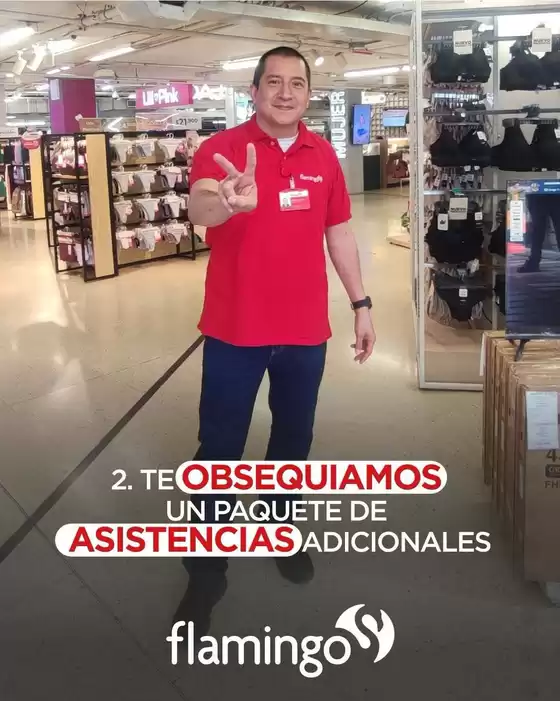 Catálogo Flamingo en Alcalá | Ofertas Flamingo | 2026-10-04T00:00:00.000Z - 2026-10-18T00:00:00.000Z