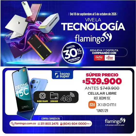 main_flyer image