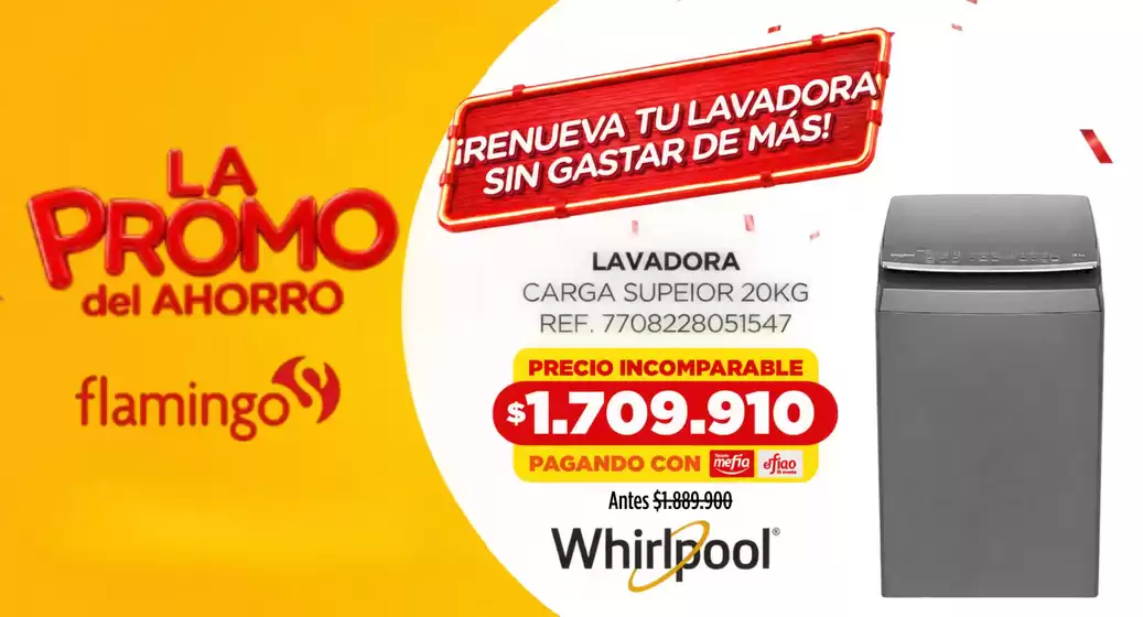 main_flyer image