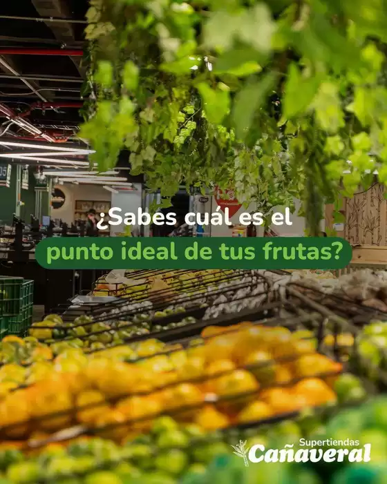 Catálogo Supertiendas Cañaveral | Ofertas y promociones actuales | 2026-10-28T00:00:00.000Z - 2026-11-11T00:00:00.000Z