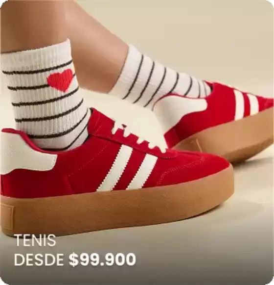 Colección Temporada Nueva