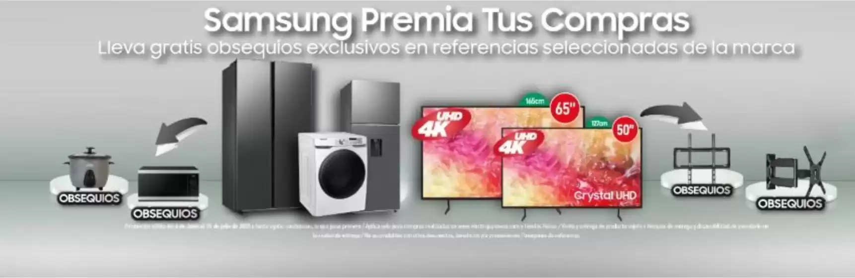 Promociones Electrojaponesa 