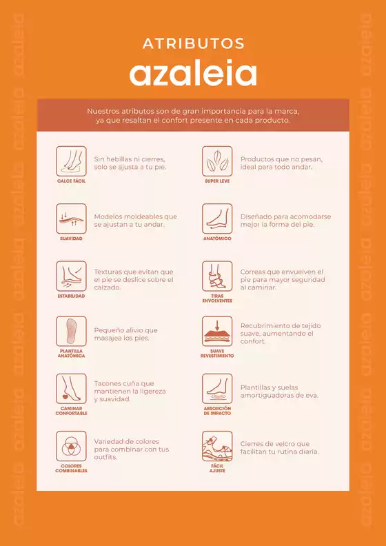 Catalogo Azaleia