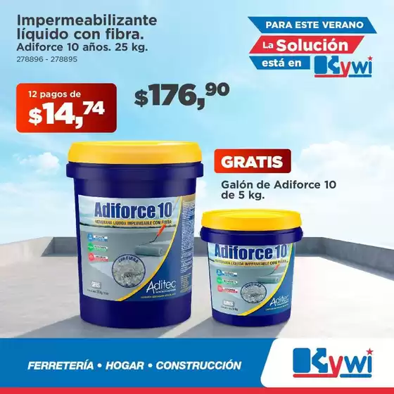 main_flyer image