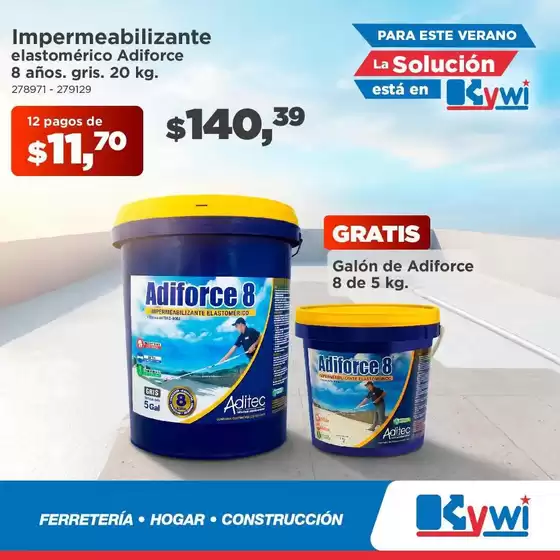 main_flyer image