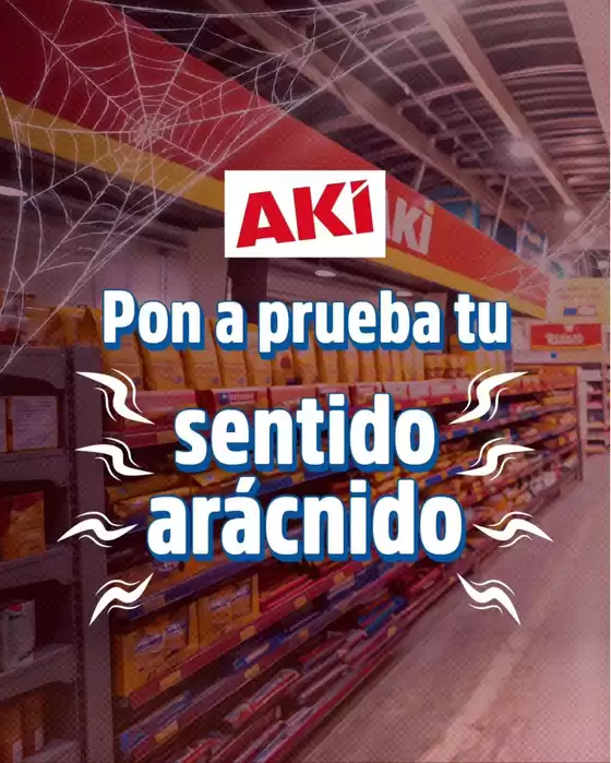 Catálogo Akí en Duran | Catálogo Akí | 2026-07-31T00:00:00.000Z - 2026-08-14T00:00:00.000Z