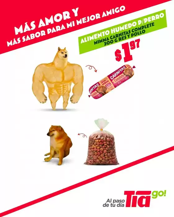 Catálogo Tía Go | Mas amor y mas sabor para mi mejor amigo | 2026-08-03T00:00:00.000Z - 2026-08-17T00:00:00.000Z