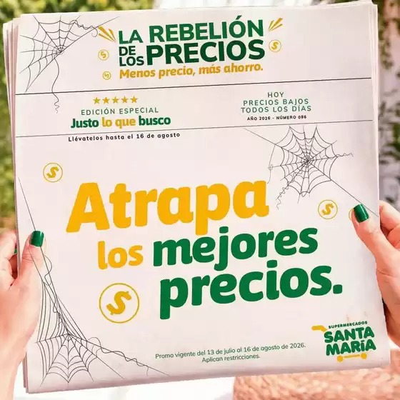 main_flyer image