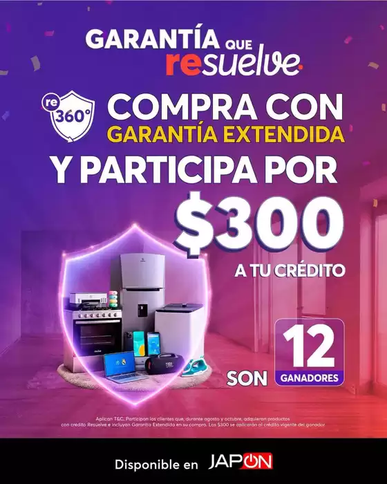 main_flyer image